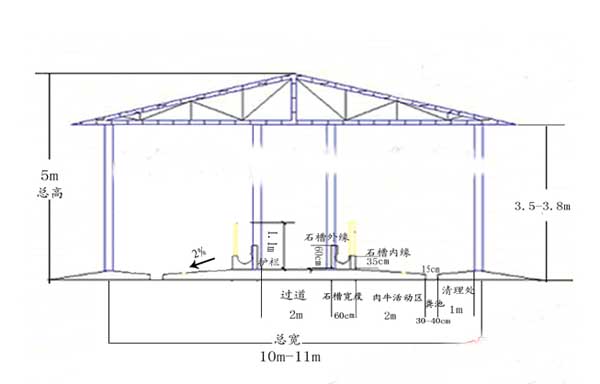 養(yǎng)牛場(chǎng)建設(shè)方案